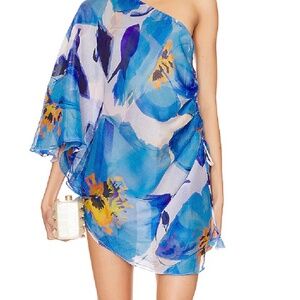 MISA Los Angeles Cover-up